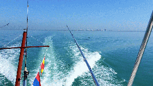 20150224_104843-MOTION