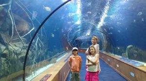 6I12W0ysoUEfYk0zia83p8k6aVAdLKayNYFEXLRJGek