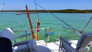 IMG_20150224_131304:nopm: