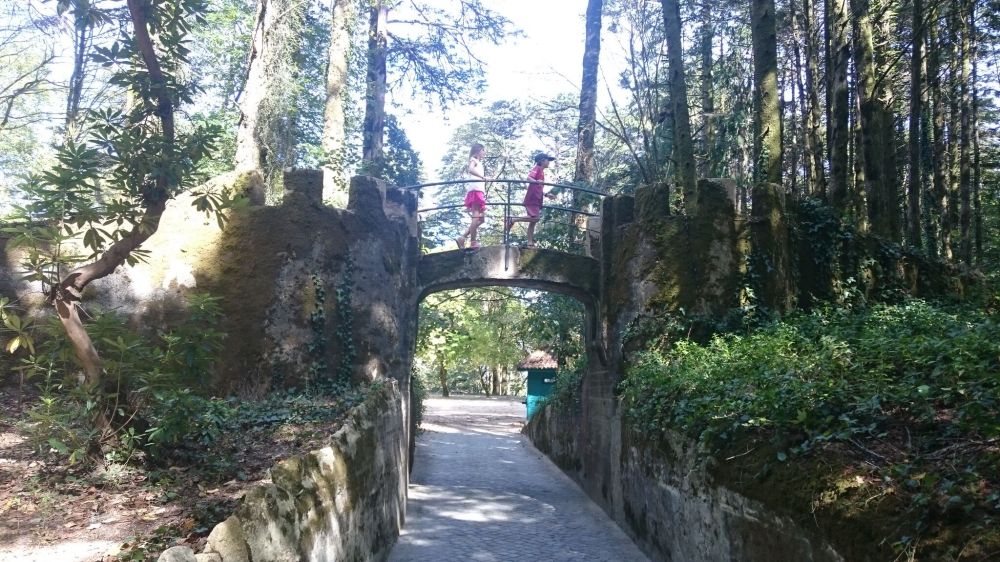 oBdf4rqE891MKX9F84FQj0BhrrURT51AHwsqJfMHysc,YBVWvUa-MaYH-gkqgjMh8ecN9LjIv-JOREDIsoqHgMQ